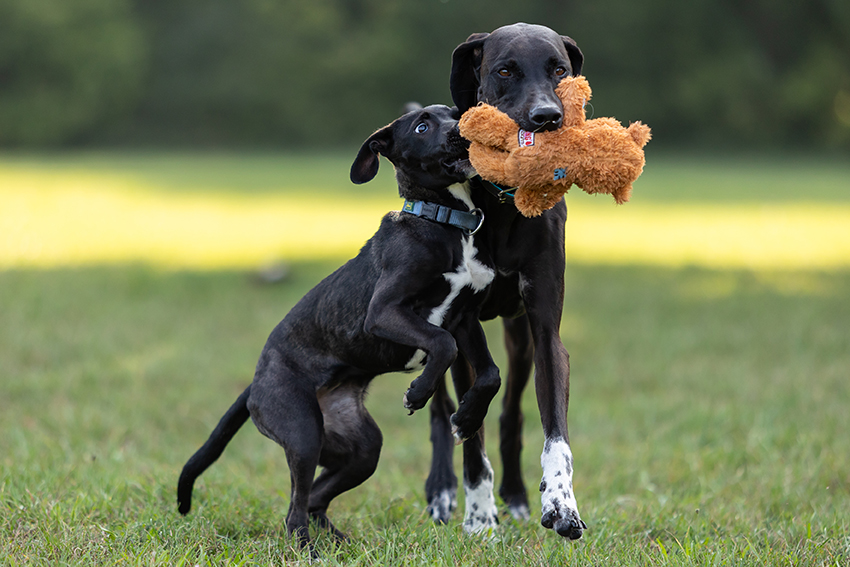 Portfolio - Photosandmore | Meisterfotografin Barbara Lachner -Businessfotos und Imagebilder, Portraitfotos, Reportagen und Eventfotos, Hochzeitsfotos und Hochzeitsreportagen